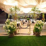 Softley Events - Events - Open, Norwich