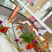 Softley Events - Events - INTO, Norwich UEA Opening