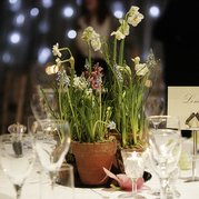 Softley Events - Weddings - Table Centre Pieces