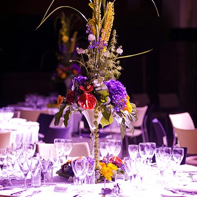 Gala dinners & balls - Softley Events